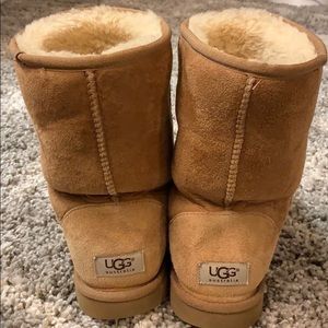 Classic short chestnut uggs!!!
